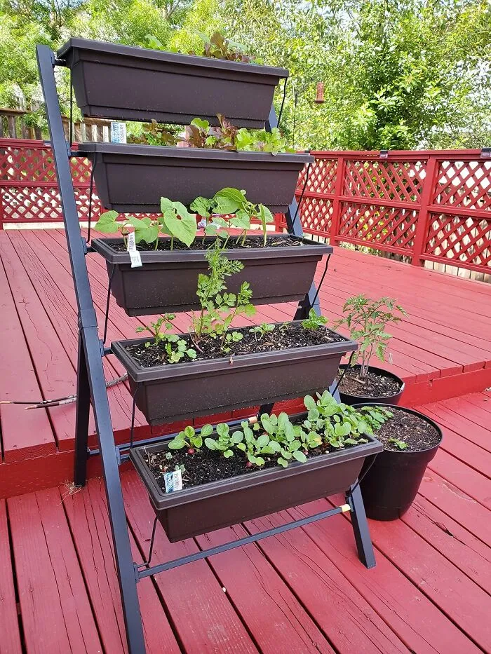 This <a Style="Display:inline;" Href="Https://Www.amazon.com/4ft-Vertical-Raised-Garden-Bed/Dp/B081qqh576?ie=utf8&th=1&linkcode=ll1&tag=bpeagle-20&linkid=efa3530fa4118d0c2f35ede444177265&language=en_us&ref_=as_li_ss_tl" Target="_blank"><span Style="Font: Inherit; Color: #d74b1f;"> 5-Tier Planter Stand </Span> Lets Your Plant Babies Live Their Best High-Rise Life, Because Clearly They've Outgrown Their Starter Windowsill Home And Demand Tiered Luxury