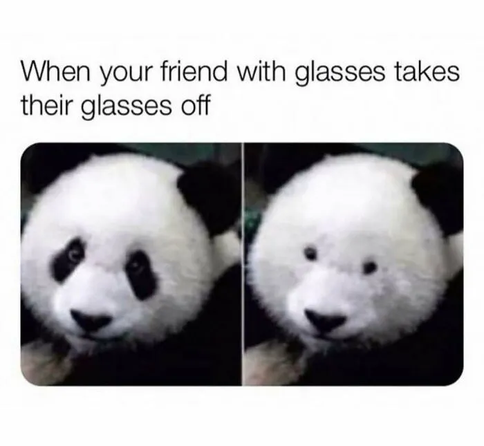 Panda images showing difference in appearance with and without glasses illustrating relatable energy in funny memes.