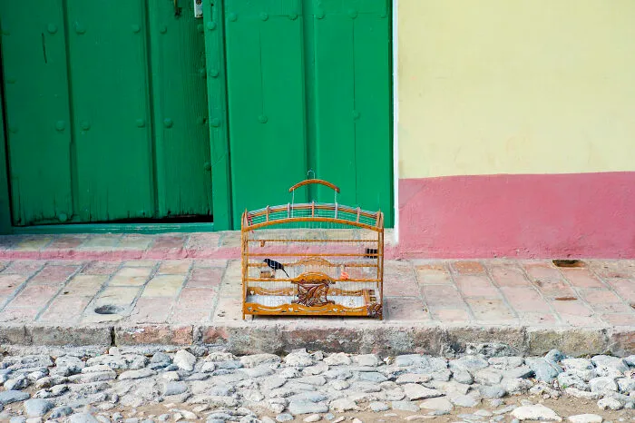 You Might Never Look At Ordinary Places The Same Way After Seeing These 40 Photos By Adriana Ferrarese