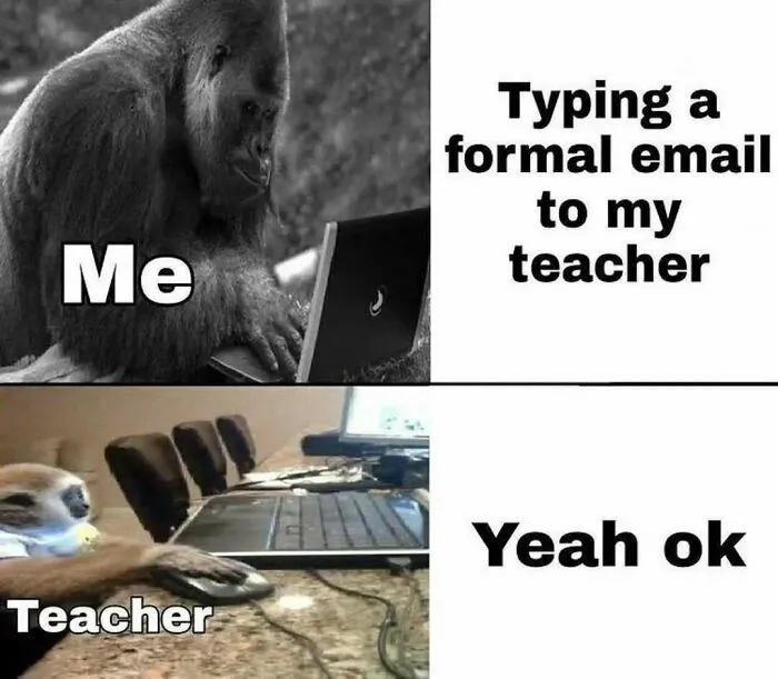 Gorilla typing a formal email to teacher contrasted with teacher casually replying yeah ok in a meme for intellectuals.