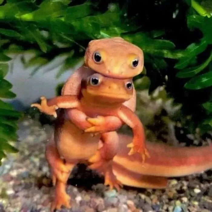 50 Unexpectedly Funny Pics That Prove The Internet Is A Strange Place