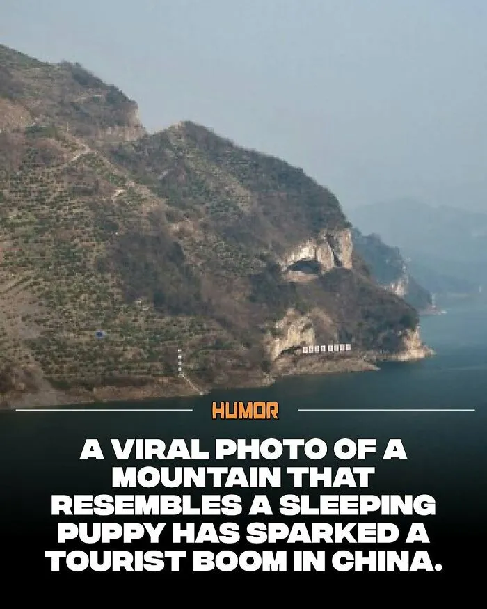 Mountain resembling a sleeping puppy sparking curiosity and new knowledge for travelers in China.