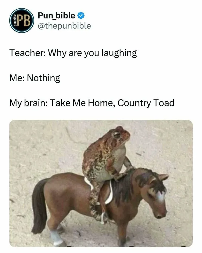 A funny pun meme showing a toad riding a toy horse, illustrating wordplay humor with a country toad joke.