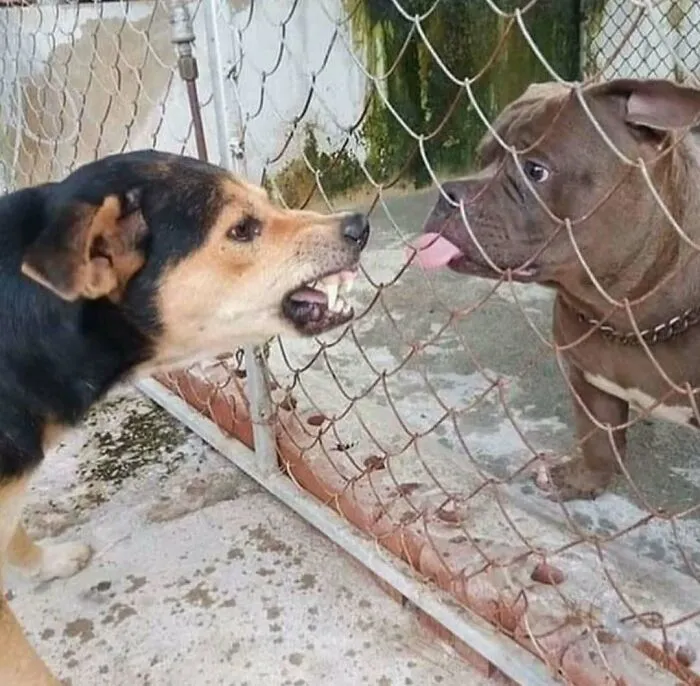 50 Unexpectedly Funny Pics That Prove The Internet Is A Strange Place