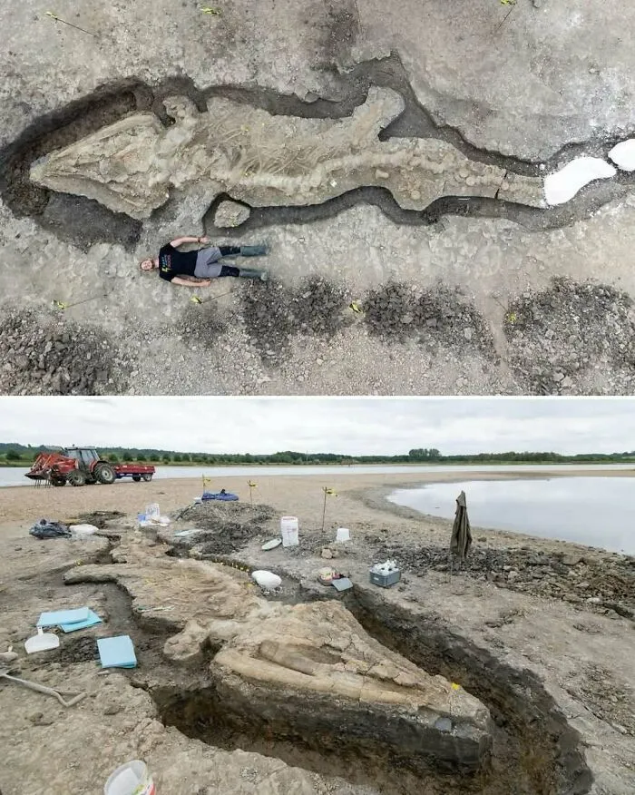 Paleontologists In England Discovered The Remains Of A 10-Meter-Long Sea Dragon