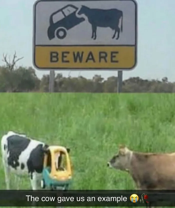 50 Unexpectedly Funny Pics That Prove The Internet Is A Strange Place