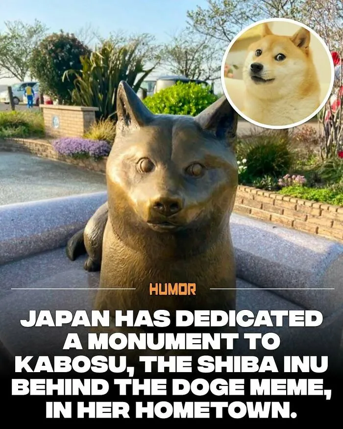 IG Page With 3.5M Fans Is Spreading Knowledge And Here Are 50 Of The Coolest Facts They Shared