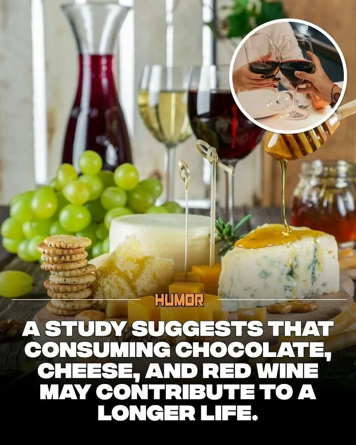 Cheese, red wine, and grapes on a wooden board with honey drizzling, related to brain craving new knowledge facts.