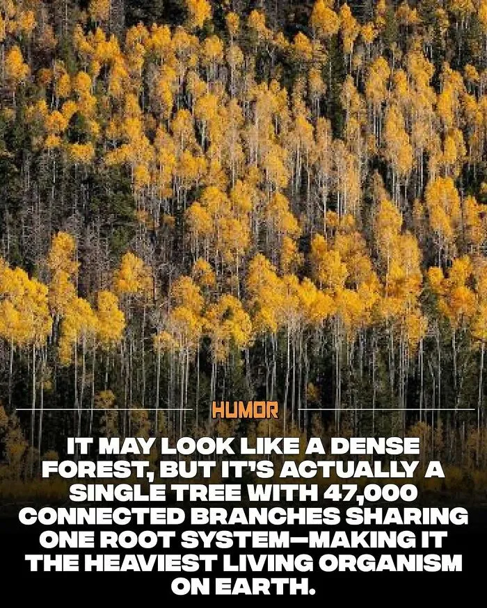 IG Page With 3.5M Fans Is Spreading Knowledge And Here Are 50 Of The Coolest Facts They Shared