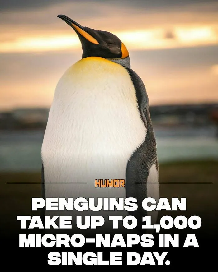 IG Page With 3.5M Fans Is Spreading Knowledge And Here Are 50 Of The Coolest Facts They Shared