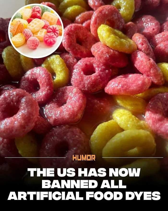 IG Page With 3.5M Fans Is Spreading Knowledge And Here Are 50 Of The Coolest Facts They Shared