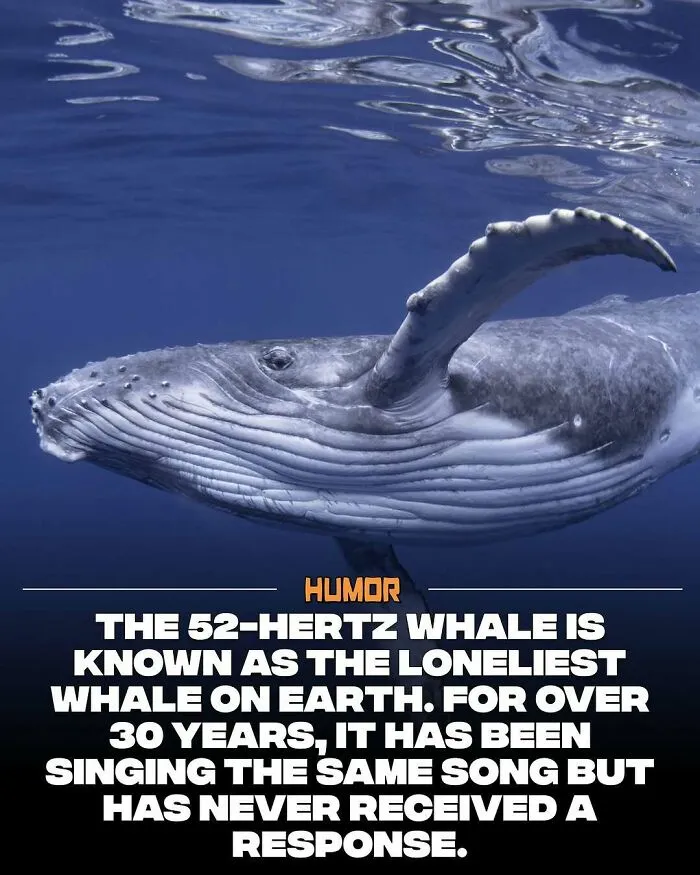 IG Page With 3.5M Fans Is Spreading Knowledge And Here Are 50 Of The Coolest Facts They Shared