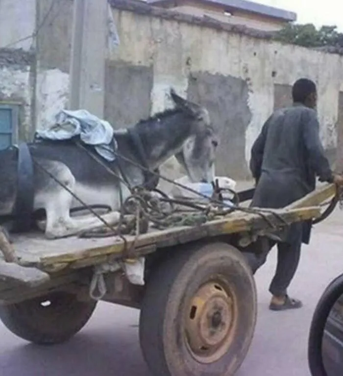 50 Unexpectedly Funny Pics That Prove The Internet Is A Strange Place