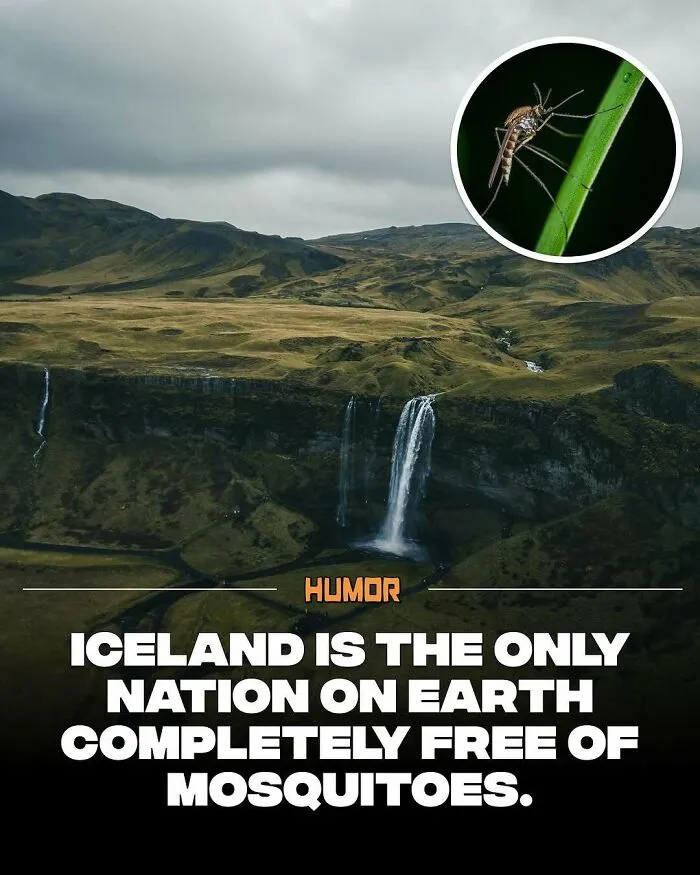IG Page With 3.5M Fans Is Spreading Knowledge And Here Are 50 Of The Coolest Facts They Shared