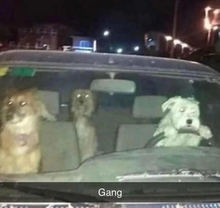 50 Unexpectedly Funny Pics That Prove The Internet Is A Strange Place