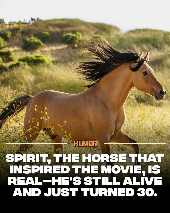 IG Page With 3.5M Fans Is Spreading Knowledge And Here Are 50 Of The Coolest Facts They Shared