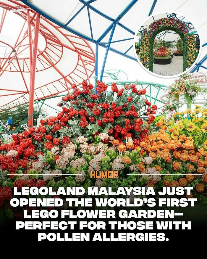 Colorful LEGO flower garden at Legoland Malaysia, a unique attraction perfect for those seeking new knowledge and fun facts.