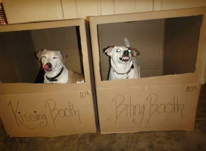 Blursed Booth