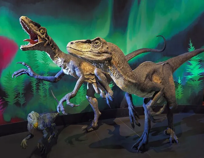 Deinonychus Was The Inspiration For "Raptors" On Jurassic Park