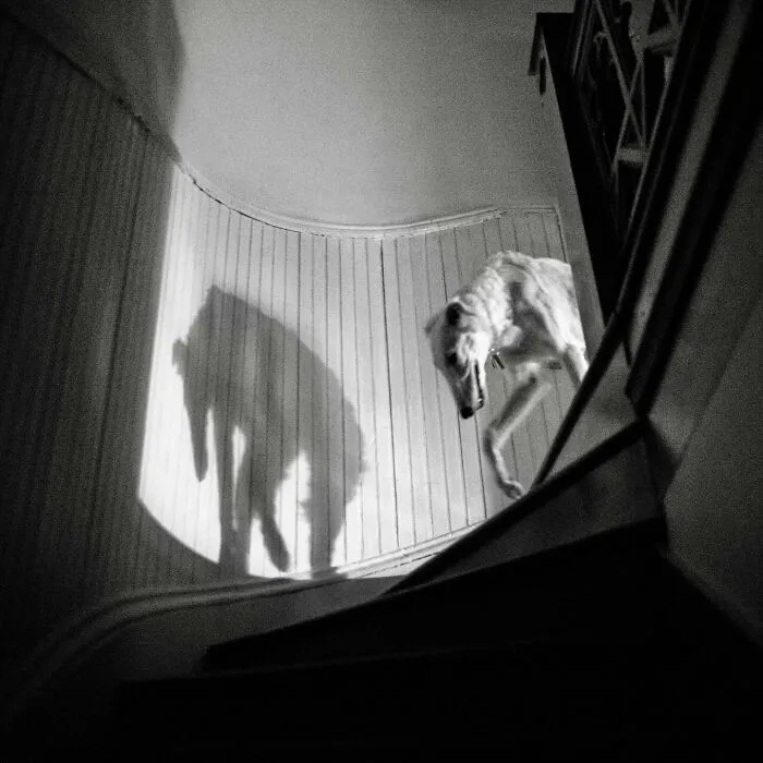 40 Times Everyday Scenes Captured By Eric Kogan Aligned So Perfectly, You Might Do A Double Take