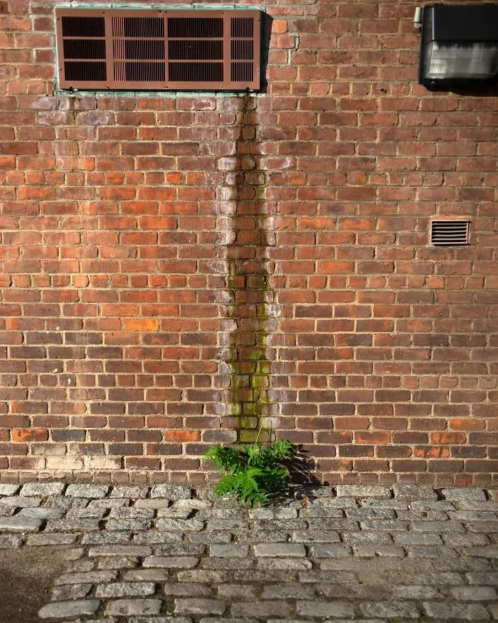 40 Times Everyday Scenes Captured By Eric Kogan Aligned So Perfectly, You Might Do A Double Take