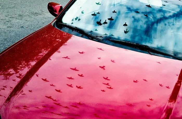 40 Times Everyday Scenes Captured By Eric Kogan Aligned So Perfectly, You Might Do A Double Take