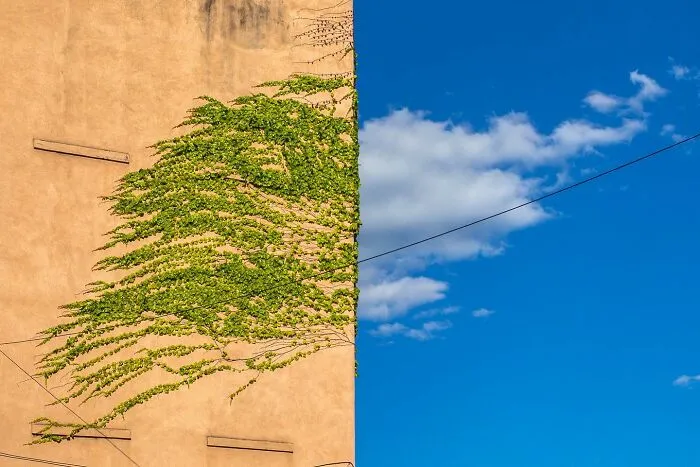 40 Times Everyday Scenes Captured By Eric Kogan Aligned So Perfectly, You Might Do A Double Take