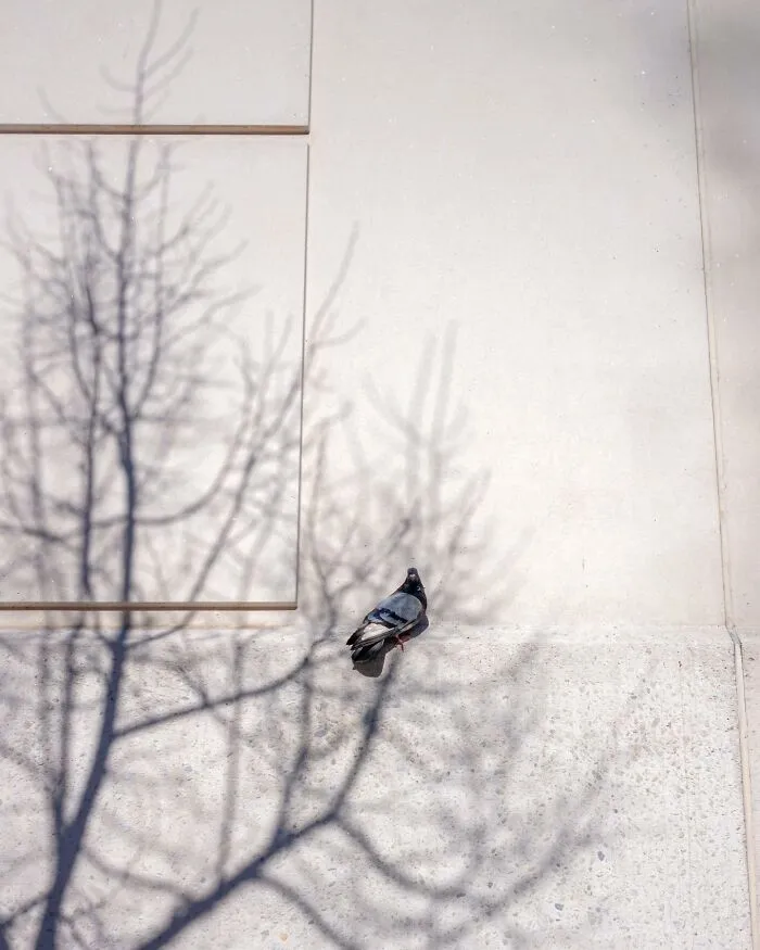 40 Times Everyday Scenes Captured By Eric Kogan Aligned So Perfectly, You Might Do A Double Take