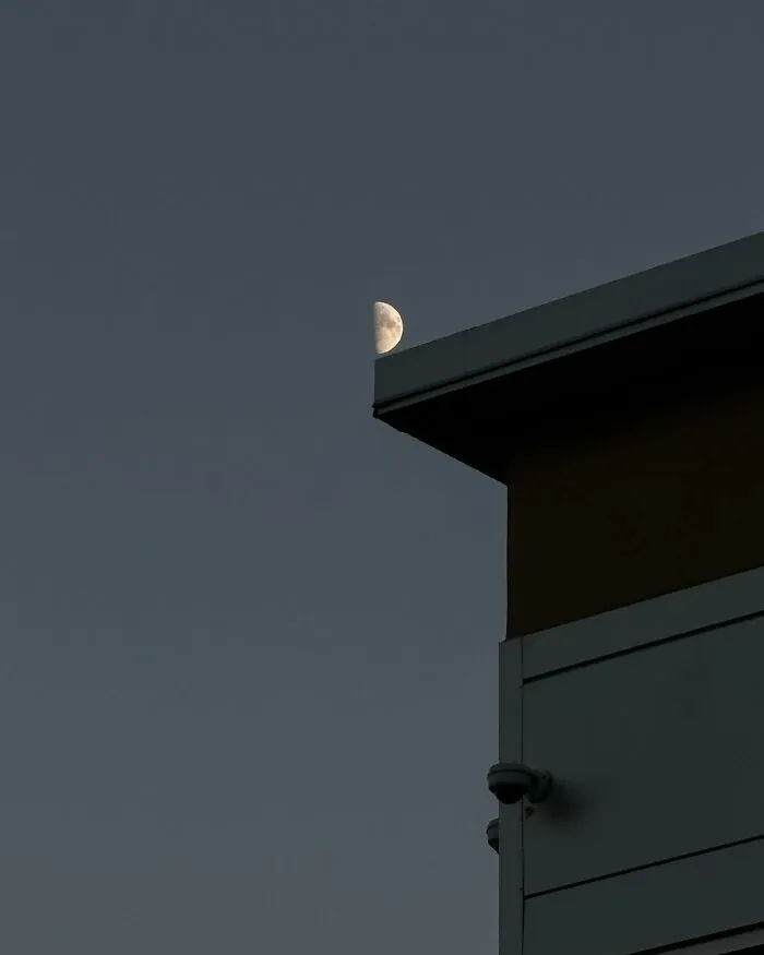 40 Times Everyday Scenes Captured By Eric Kogan Aligned So Perfectly, You Might Do A Double Take