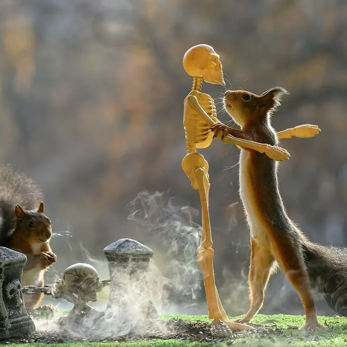 Squirrel interacting with artist’s props including a small skeleton figure outdoors with fog and natural background.