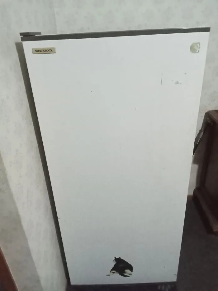 Shacklock Freezer