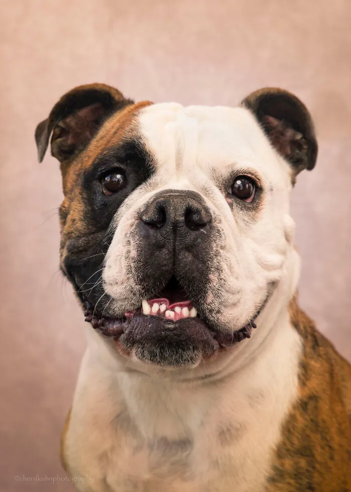 Gus