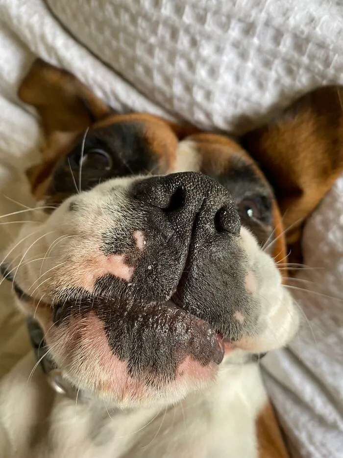 I’m Melting, I’m Melting!