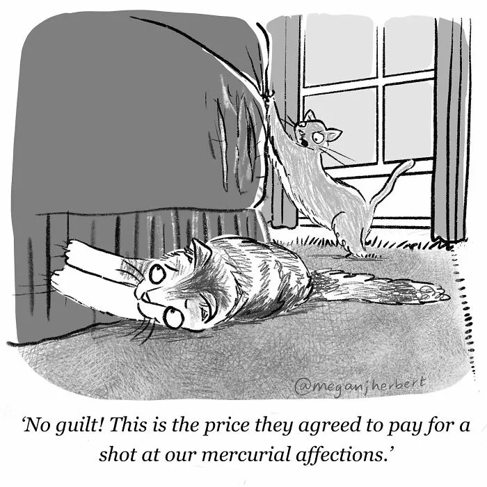 This Multitalented Cartoonist Creates Funny Comics You Might Relate To (40 Pics)