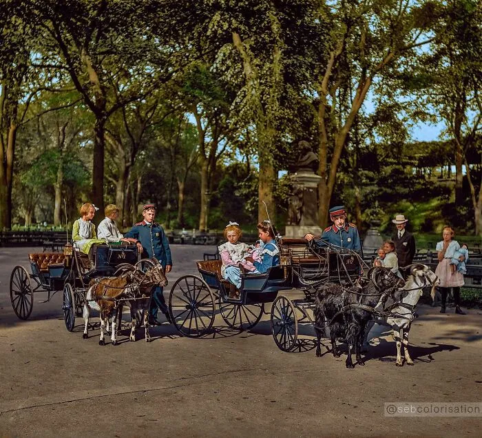 Goat Carriages In Central Park, New York, 1904