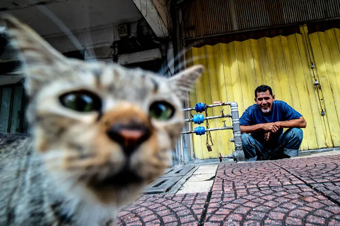 50 Unscripted Street Photos That Show The World The Way It Is By Joseph Cheung