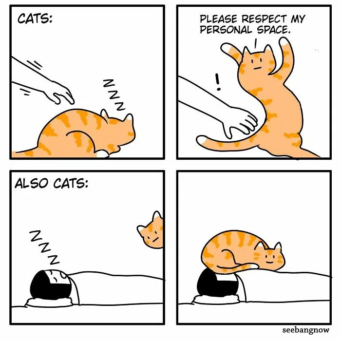 Hilariously Relatable Comics With Absurd Twists, By This Artist (19 New Pics)
