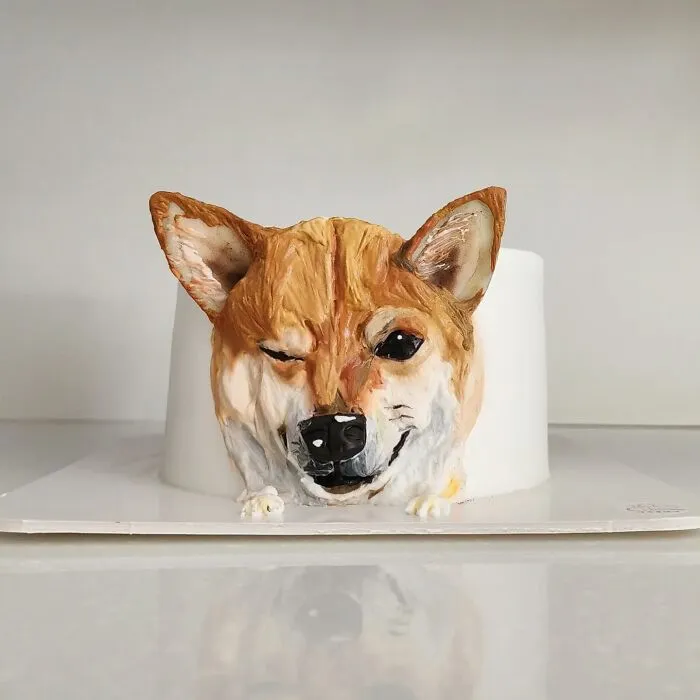 Artist Turns Pets Into Playful Cakes — And Here Are Their 80 Sweetest Creations