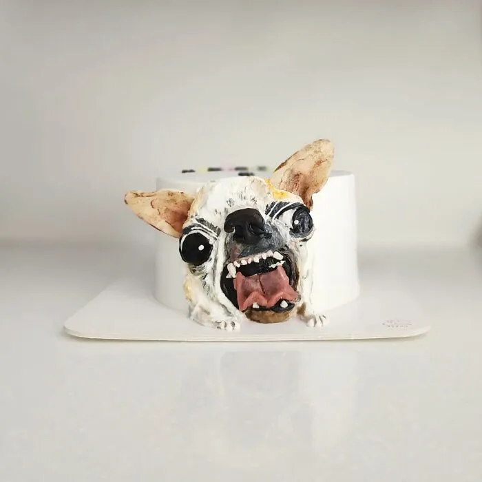 Artist Turns Pets Into Playful Cakes — And Here Are Their 80 Sweetest Creations