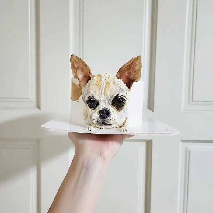 Hand holding an adorable pet-themed cake shaped like a realistic Chihuahua dog capturing its unique personality.