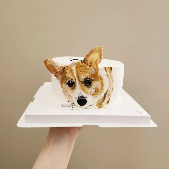 Artist Turns Pets Into Playful Cakes — And Here Are Their 80 Sweetest Creations
