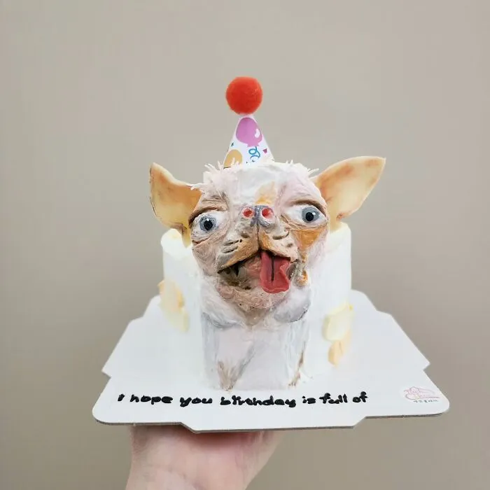 Artist Turns Pets Into Playful Cakes — And Here Are Their 80 Sweetest Creations