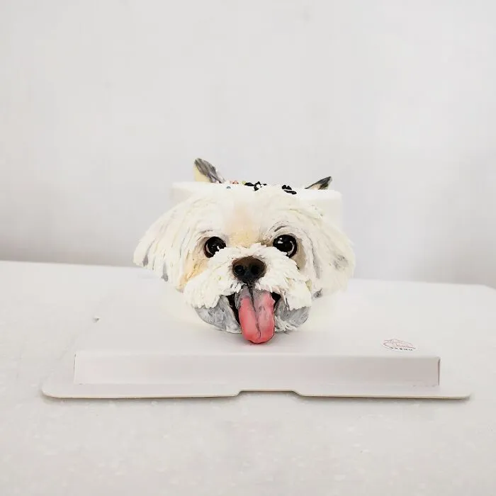 Artist Turns Pets Into Playful Cakes — And Here Are Their 80 Sweetest Creations
