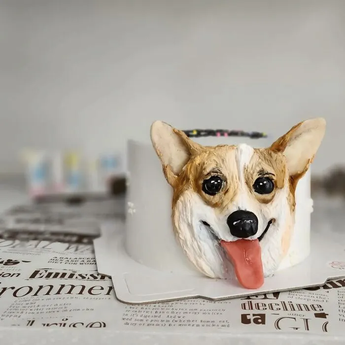 Artist Turns Pets Into Playful Cakes — And Here Are Their 80 Sweetest Creations