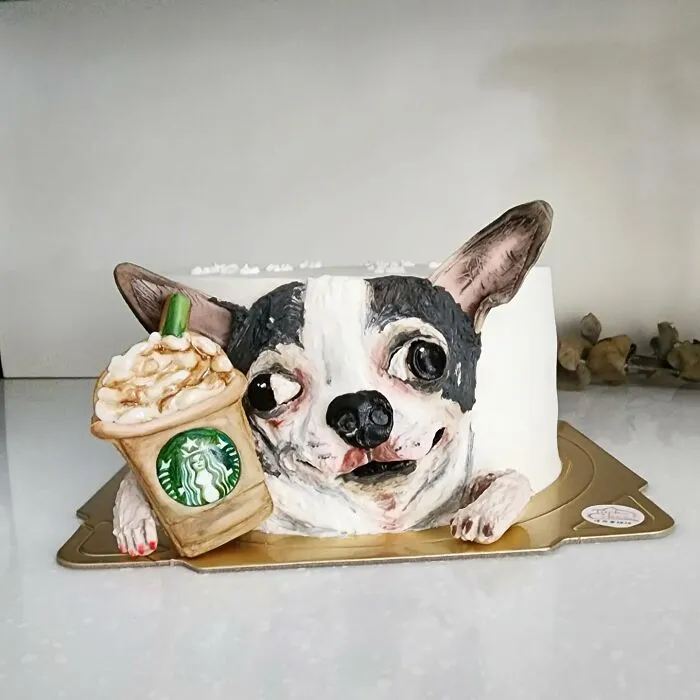 Artist Turns Pets Into Playful Cakes — And Here Are Their 80 Sweetest Creations