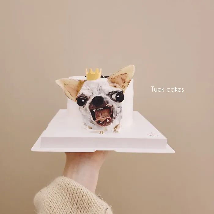 Artist Turns Pets Into Playful Cakes — And Here Are Their 80 Sweetest Creations