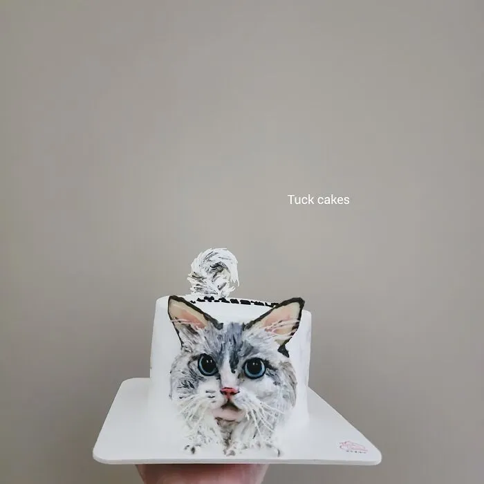 Artist Turns Pets Into Playful Cakes — And Here Are Their 80 Sweetest Creations