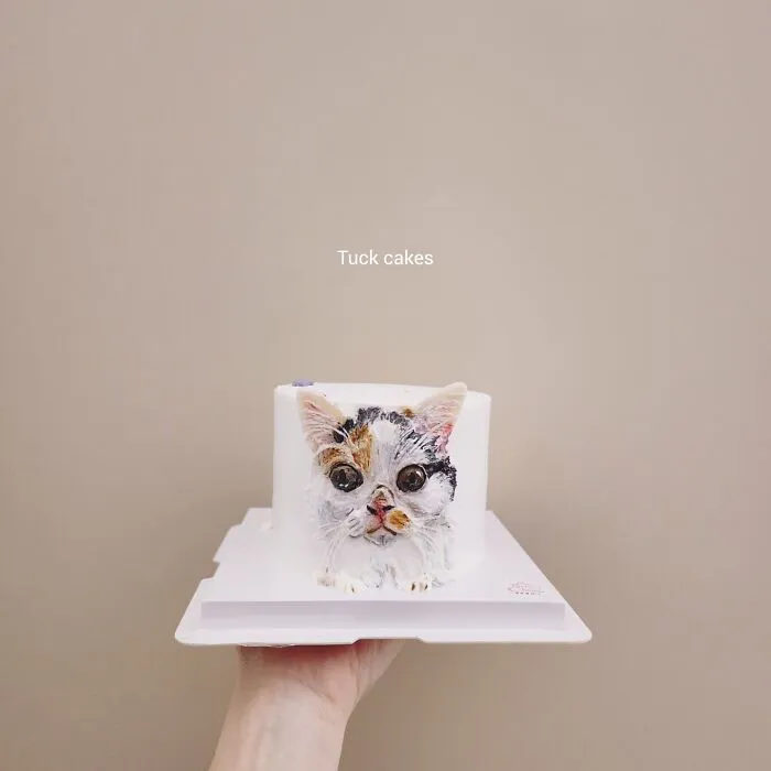 Hand holding a pet-themed cake decorated with an adorable realistic cat face capturing its unique personality.