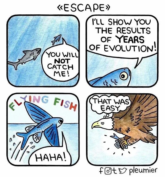 30 Soft, Smart, And Slightly Existential Comics By Pleumier