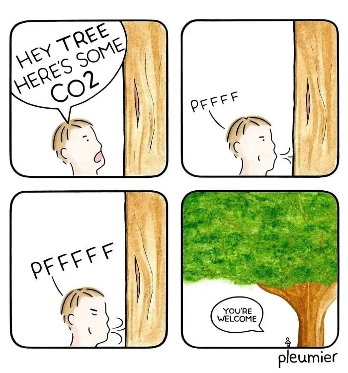 30 Soft, Smart, And Slightly Existential Comics By Pleumier